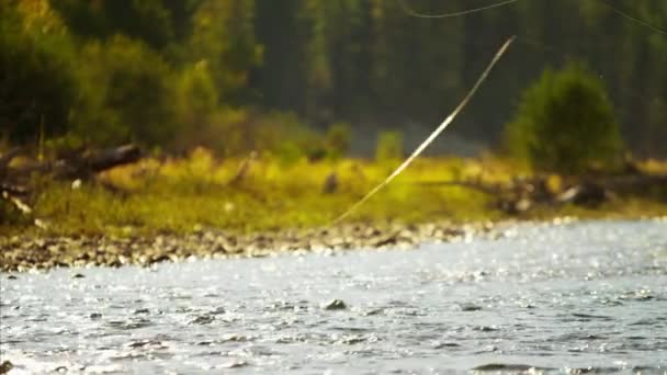 Pescador usando varilla y carrete de línea de fundición — Vídeos de Stock