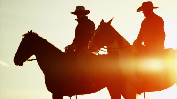 Cowboy lovasok erdő vadonban területén. — Stock videók