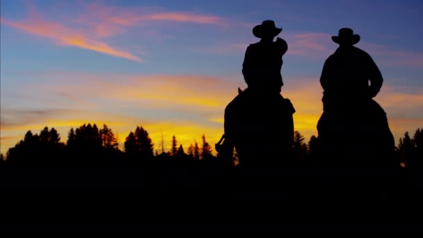 Cowboy Riders na área selvagem — Vídeo de Stock