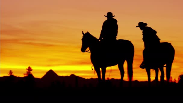 Cowboy lovasok vadonban a naplementekor — Stock videók