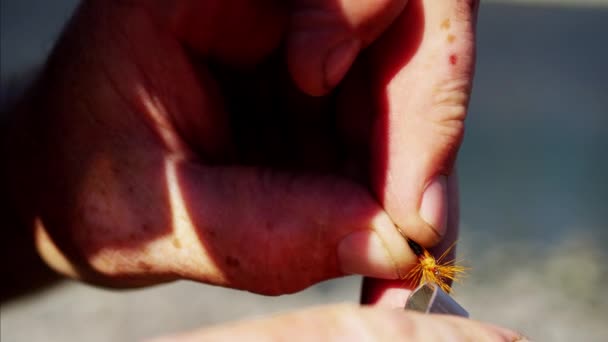 Cebo mosca seca hecha a mano por el pescador — Vídeo de stock