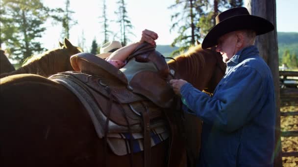 Horse Rider zadelen paard — Stockvideo