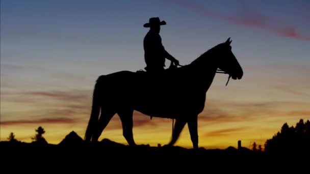 Kovboj Rider v lese při východu slunce — Stock video