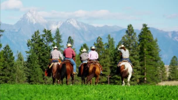 Jinetes de caballos en la cordillera de Kootenay — Vídeos de Stock