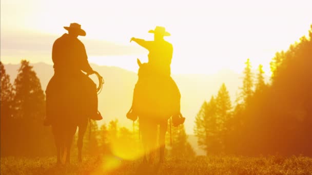 Cowboy ryttare i vildmarken skogsområde — Stockvideo