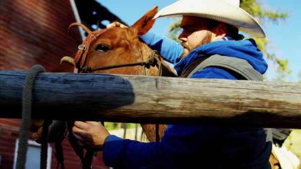 Jinete de caballos en Dude Ranch — Vídeo de stock