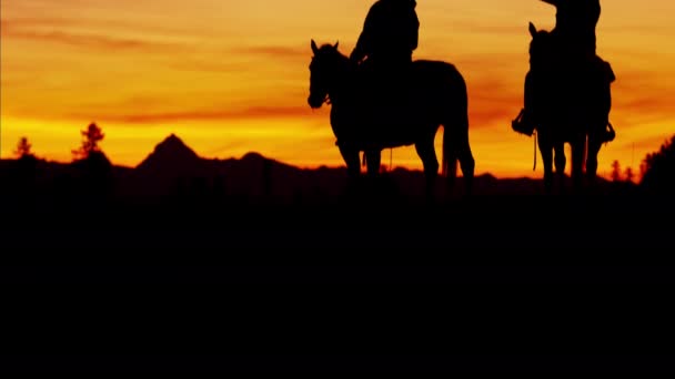 Cowboy lovasok vadonban a naplementekor — Stock videók