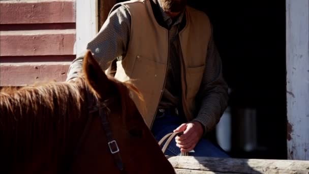 Cowboy com cavalo no Rancho Dude — Vídeo de Stock