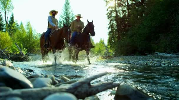 Jinetes a caballo caminando por el río — Vídeo de stock