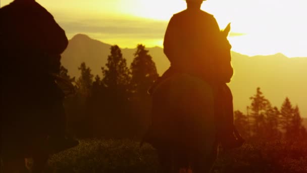 Ковбойские всадники в лесной дикости — стоковое видео