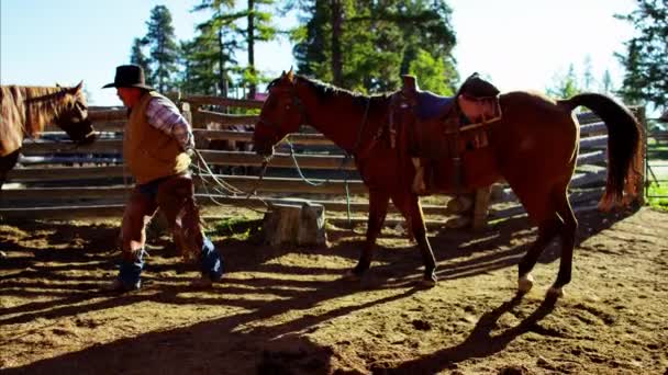 Cowboy em curral com seu cavalo — Vídeo de Stock