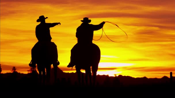 Cowboy Jinetes en el desierto al atardecer — Vídeo de stock