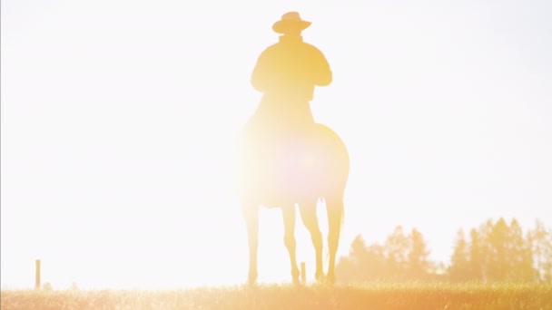 牛仔骑手在日出时的荒野 — 图库视频影像