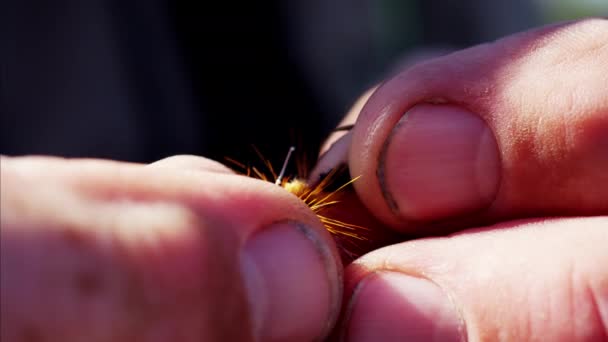 Cebo mosca seca hecha a mano por el pescador — Vídeo de stock