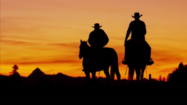 Cowboy Riders em área de floresta selvagem — Vídeo de Stock