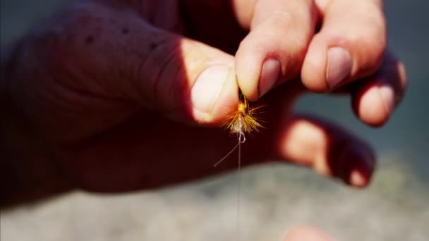 Handmade dry fly made by fisherman — Stock Video