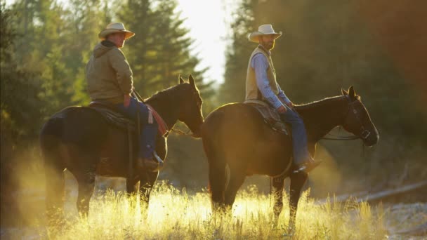 Renners op paarden in de Rocky mountains — Stockvideo
