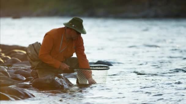 Рибалка з ловлею тримайте сітку — стокове відео