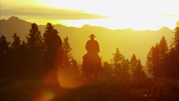 Cowboy renners in wildernis bosgebied — Stockvideo