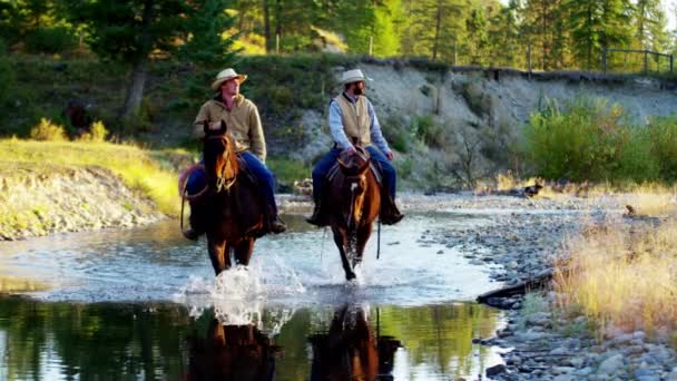 Ковбои на лошадях в реке — стоковое видео