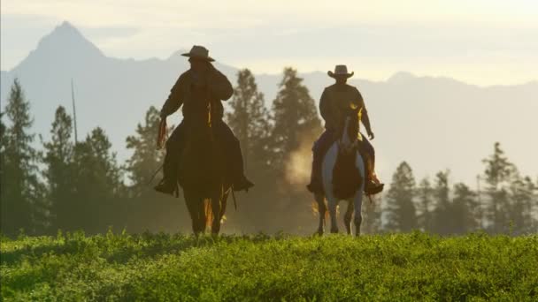 Cowboy Jinetes corriendo en el bosque — Vídeos de Stock