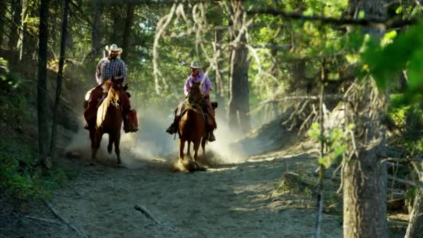 Лошади скачут с всадниками — стоковое видео