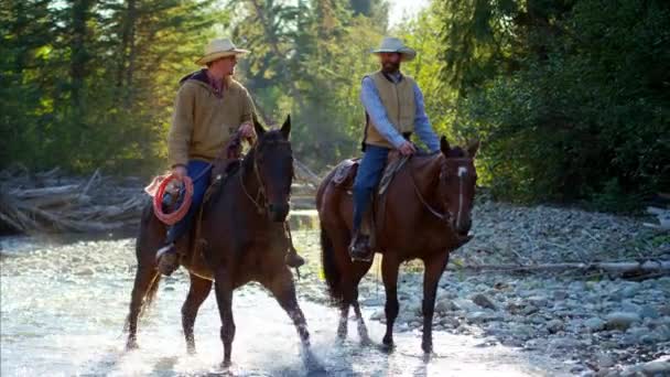 Renners op paarden lopen in de rivier — Stockvideo