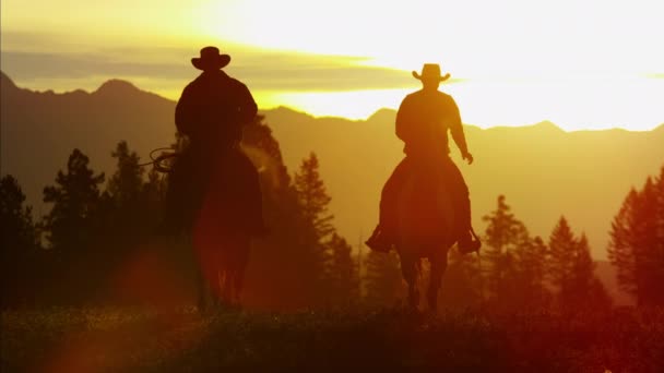 Cowboy Jinetes en el área silvestre del bosque — Vídeos de Stock