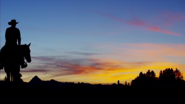 Cowboyreiter in der Wildnis bei Sonnenaufgang — Stockvideo