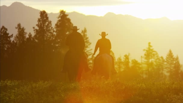 Cowboy Riders na área selvagem da floresta — Vídeo de Stock