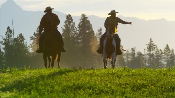 Vaquero Jinetes galopando en el bosque — Vídeo de stock