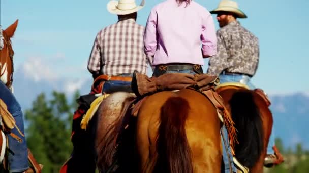 Vaqueros y vaqueras a caballo — Vídeos de Stock