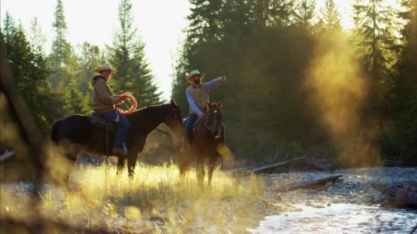 Jinetes a caballo en valle — Vídeo de stock