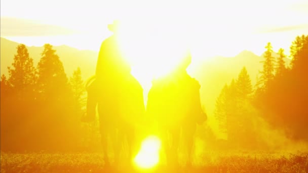 Cowboy-Fahrer in der Wildnis bei Sonnenuntergang — Stockvideo