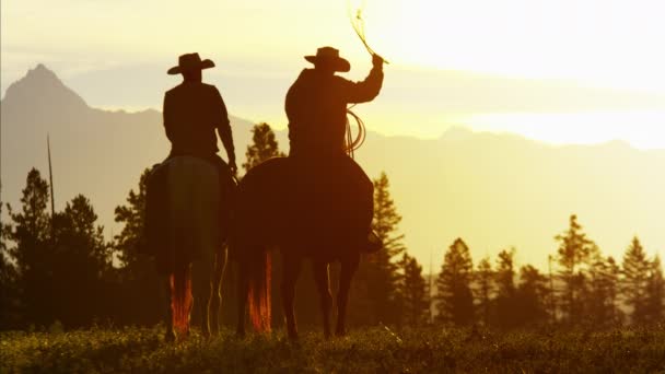 Cowboy Jinetes en el área silvestre del bosque — Vídeos de Stock