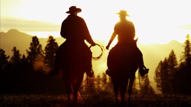 Cowboy-Fahrer in der Wildnis bei Sonnenuntergang — Stockvideo