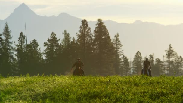 Cowboy renners die in bos loopt — Stockvideo