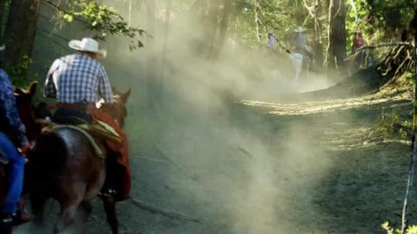 Cavalos a correr cavaleiros — Vídeo de Stock