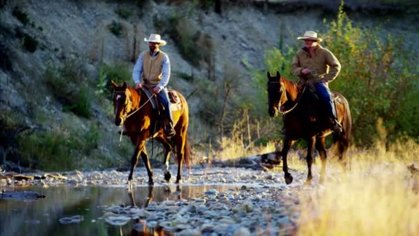 Cowboys rijden paarden op het gebied van de wildernis — Stockvideo