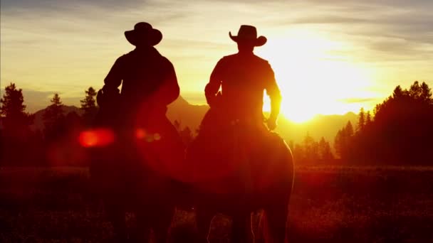 Ковбойські вершники в пустелі на заході сонця — стокове відео
