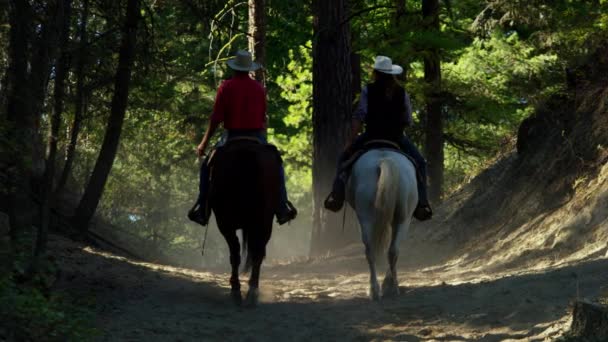 Paarden die met Cowboy renners — Stockvideo