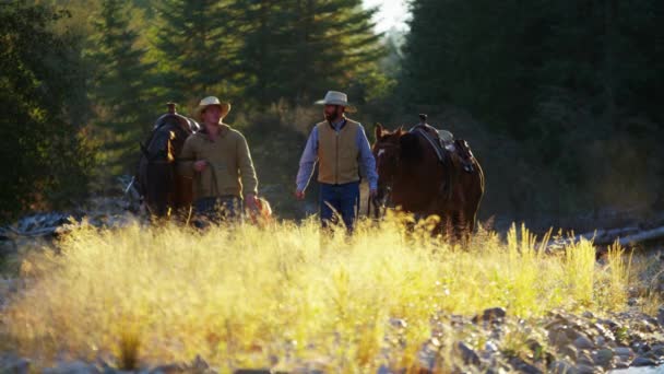 Jinetes con caballos en el bosque — Vídeo de stock