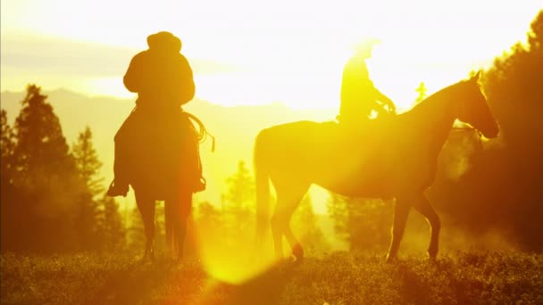 Kovboj jezdci v lesní divočině oblasti — Stock video