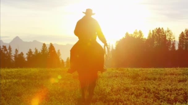 Cowboyreiter im Wald bei Sonnenuntergang — Stockvideo