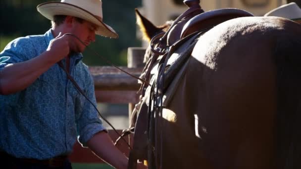 Ковбої в загін saddling кінь — стокове відео