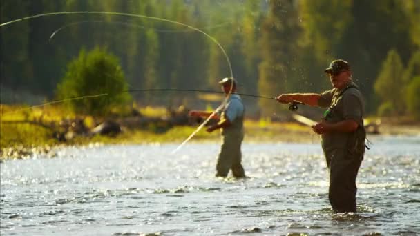 Machos mosca pesca en competición — Vídeos de Stock