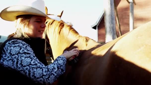 Cowgirl grooming paard — Stockvideo