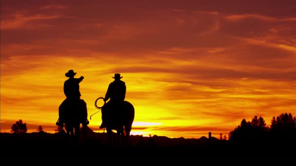 Cowboy Riders em área de floresta selvagem — Vídeo de Stock