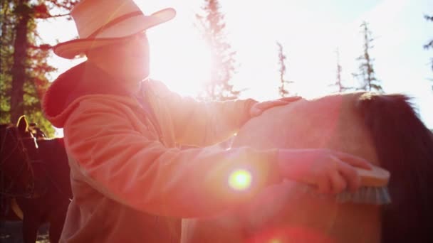 Cowboy grooming häst — Stockvideo