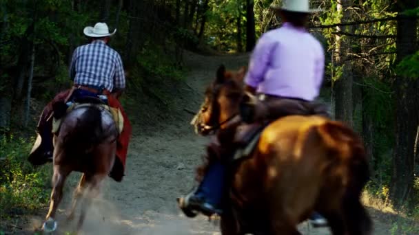 Kowboje i kowbojki, jazda konna konie — Wideo stockowe